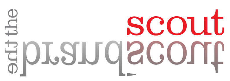 The Brandscout main logo